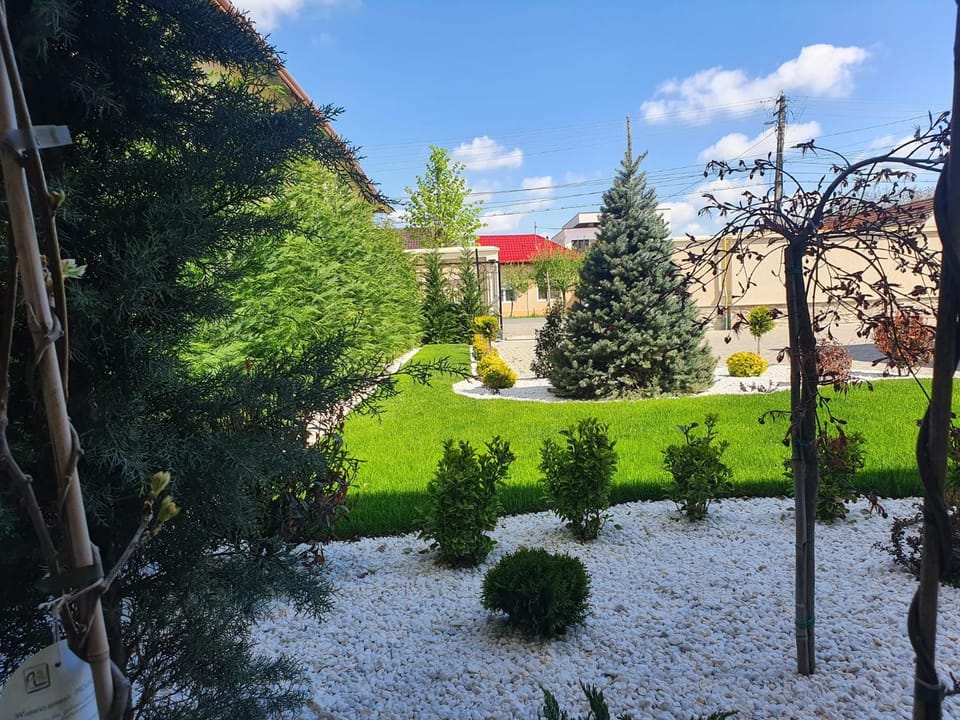 Garden, Garden view