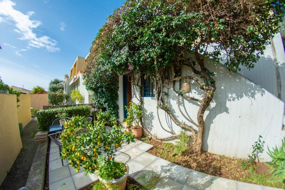 Patio, Garden