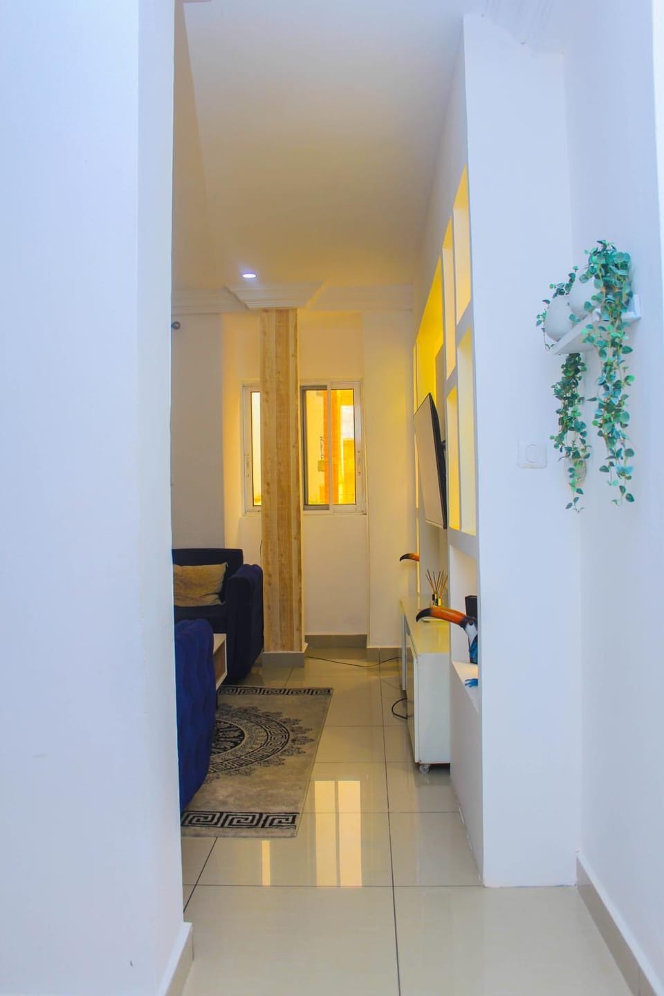 Appartement cosy blue bonapriso Apartment in Douala