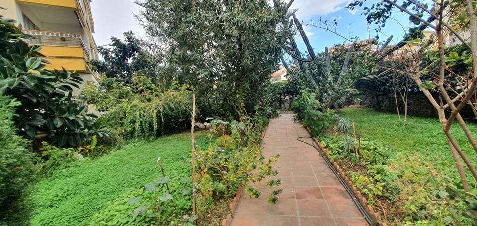 Garden, Garden view
