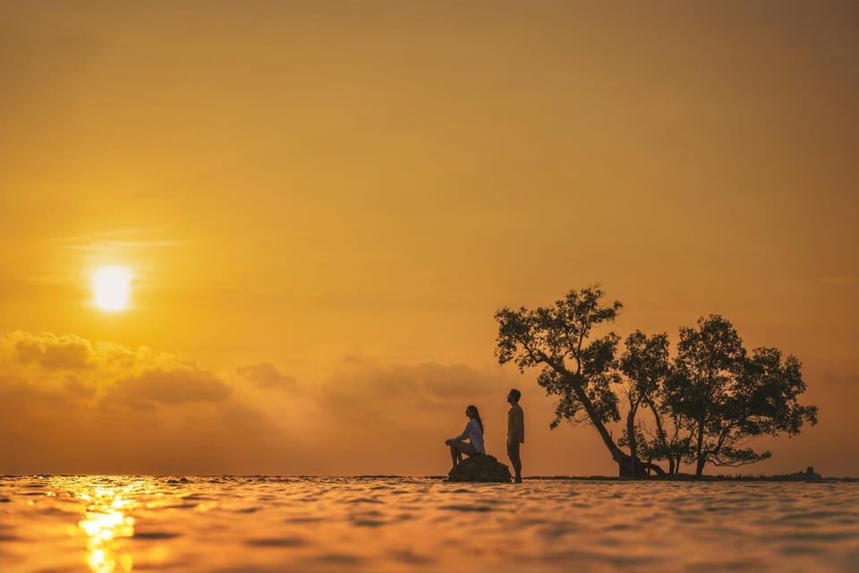 Activities, Sea view