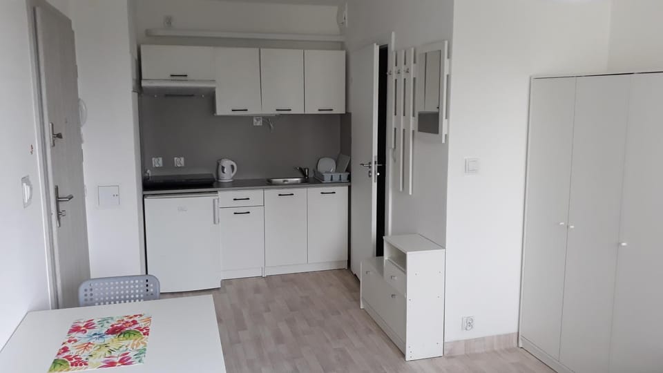 Kitchen or kitchenette, kitchen