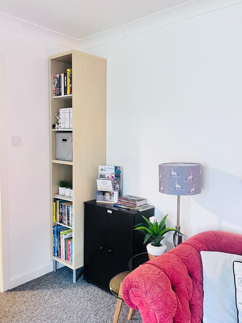 Library, Living room