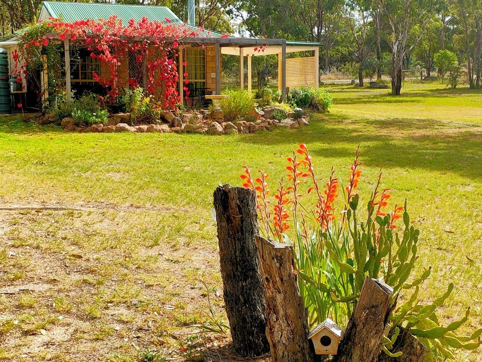 Natural landscape, Garden, Autumn, Garden view
