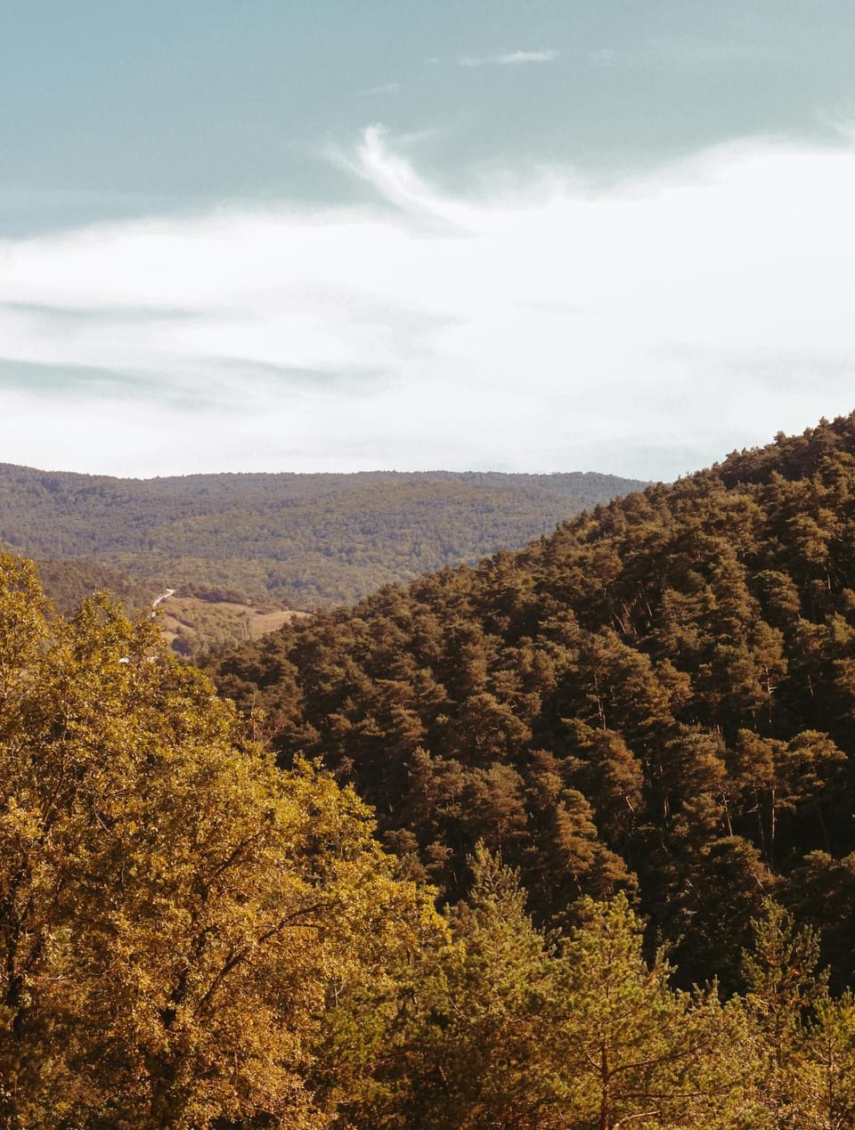 Natural landscape