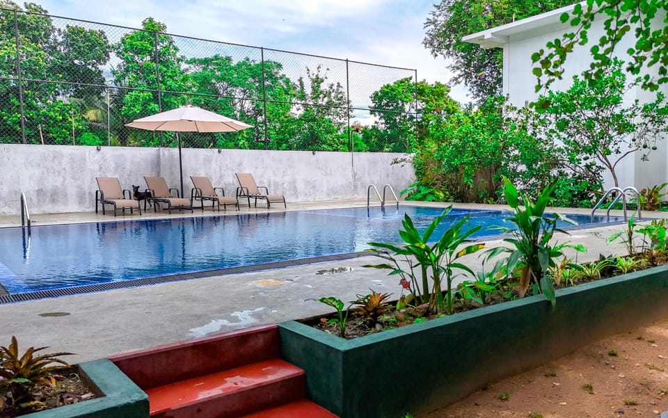Day, Garden, Garden view, Pool view, Swimming pool