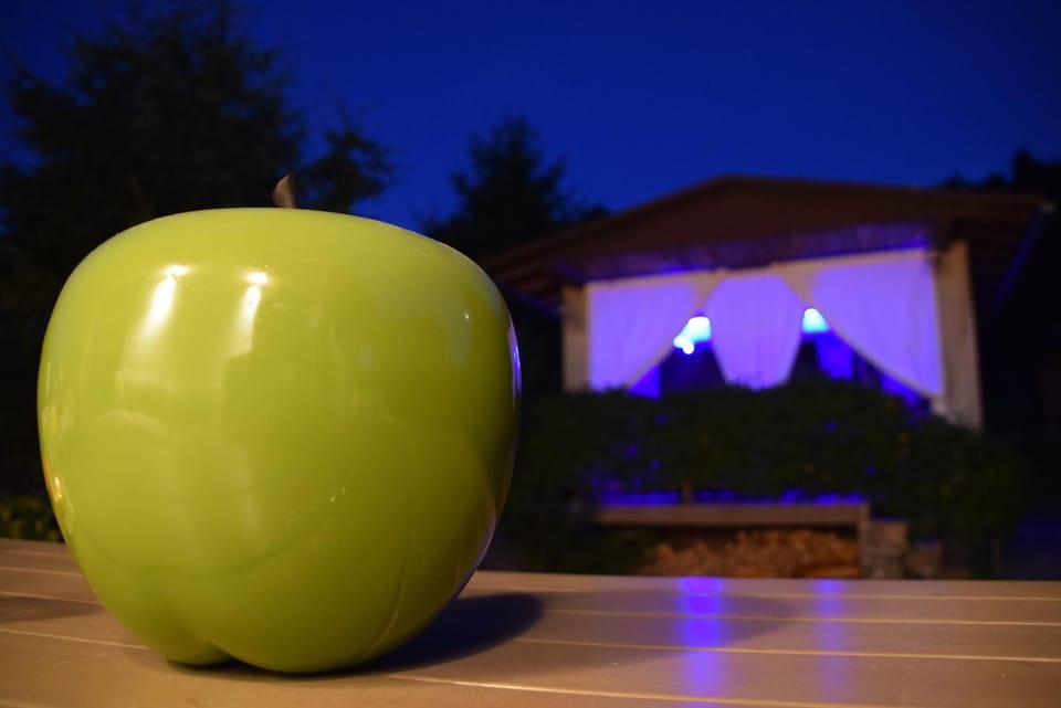 Superior - Ferienhaus am Engelsbach mit Garten und Pool House in Thuringia, Germany