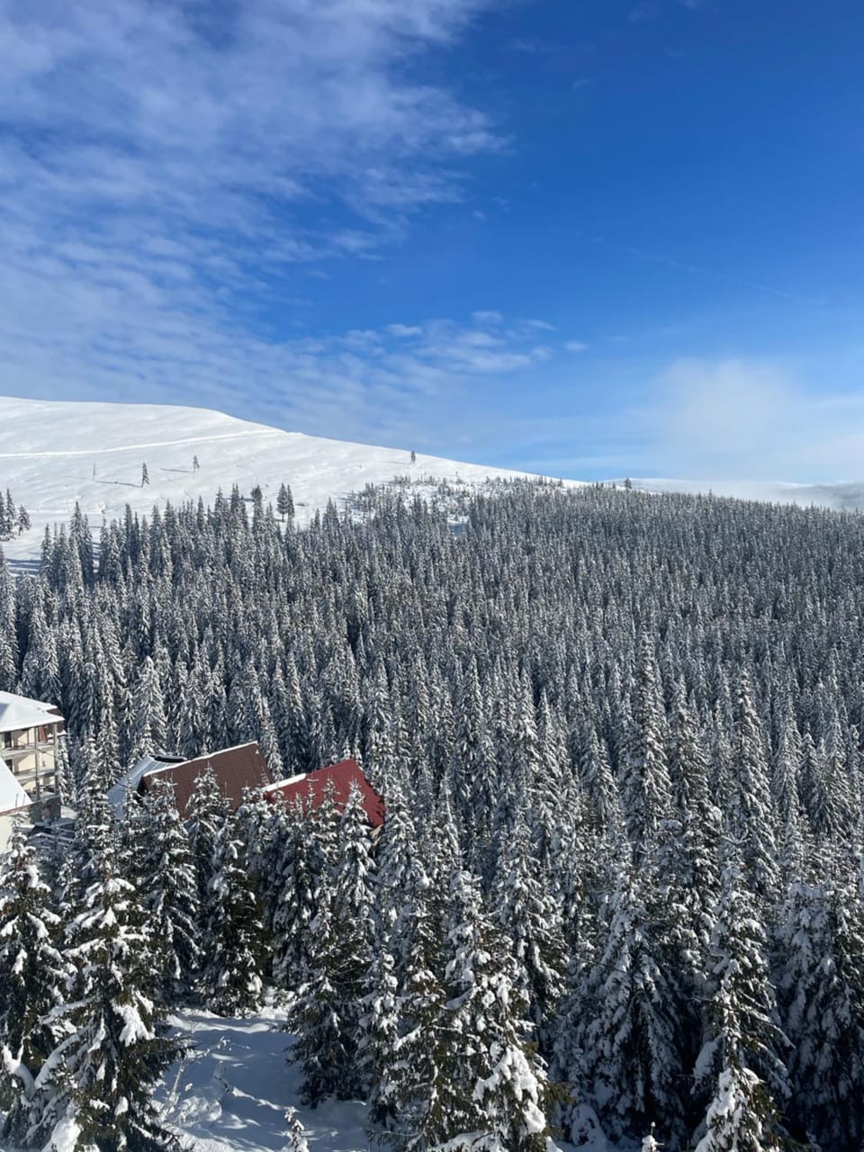 CASA STORY Bed and Breakfast in Romania