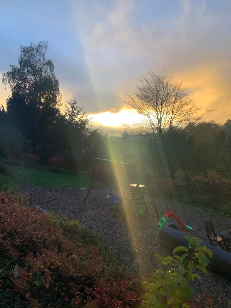 Garden, Sunset