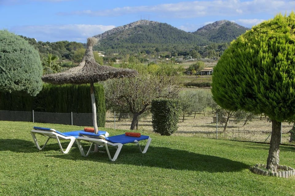 Patio, Garden, Garden view