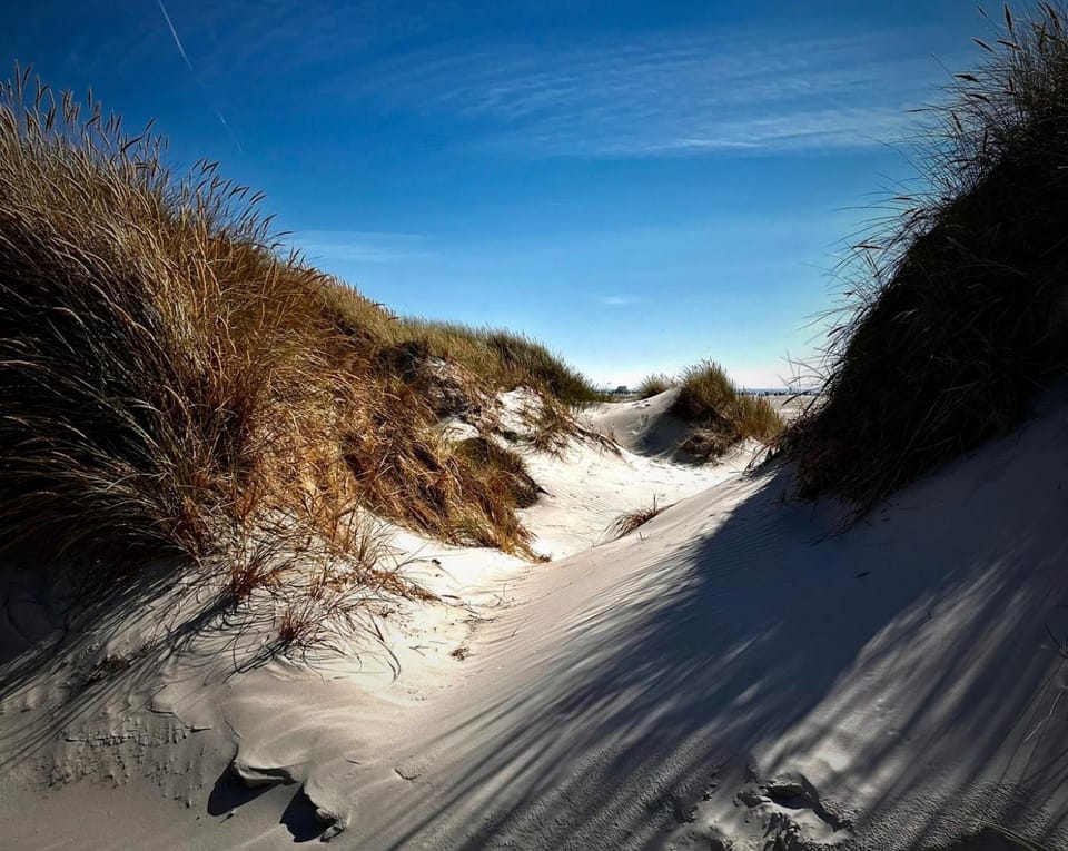 Day, Natural landscape