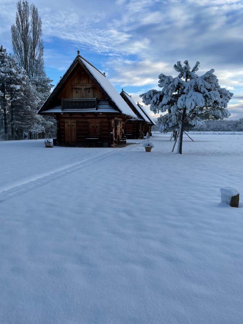 Natural landscape, Winter