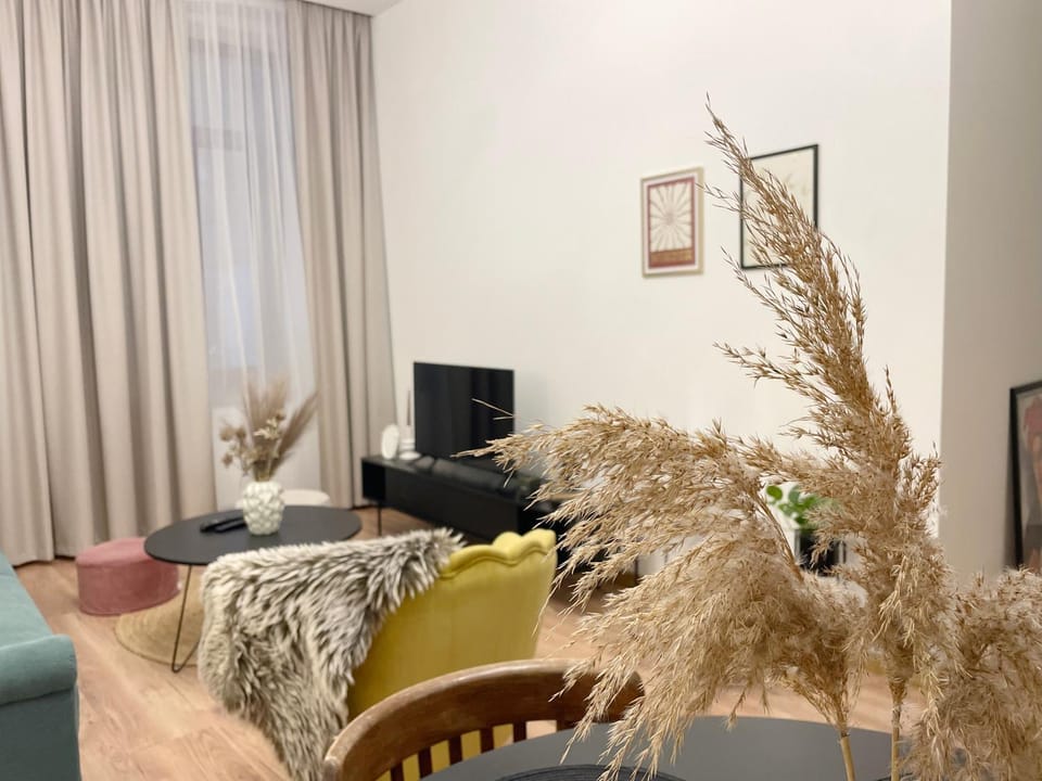 Atlas Apartment in the historical center of Košice with free private parking Apartment in Slovakia
