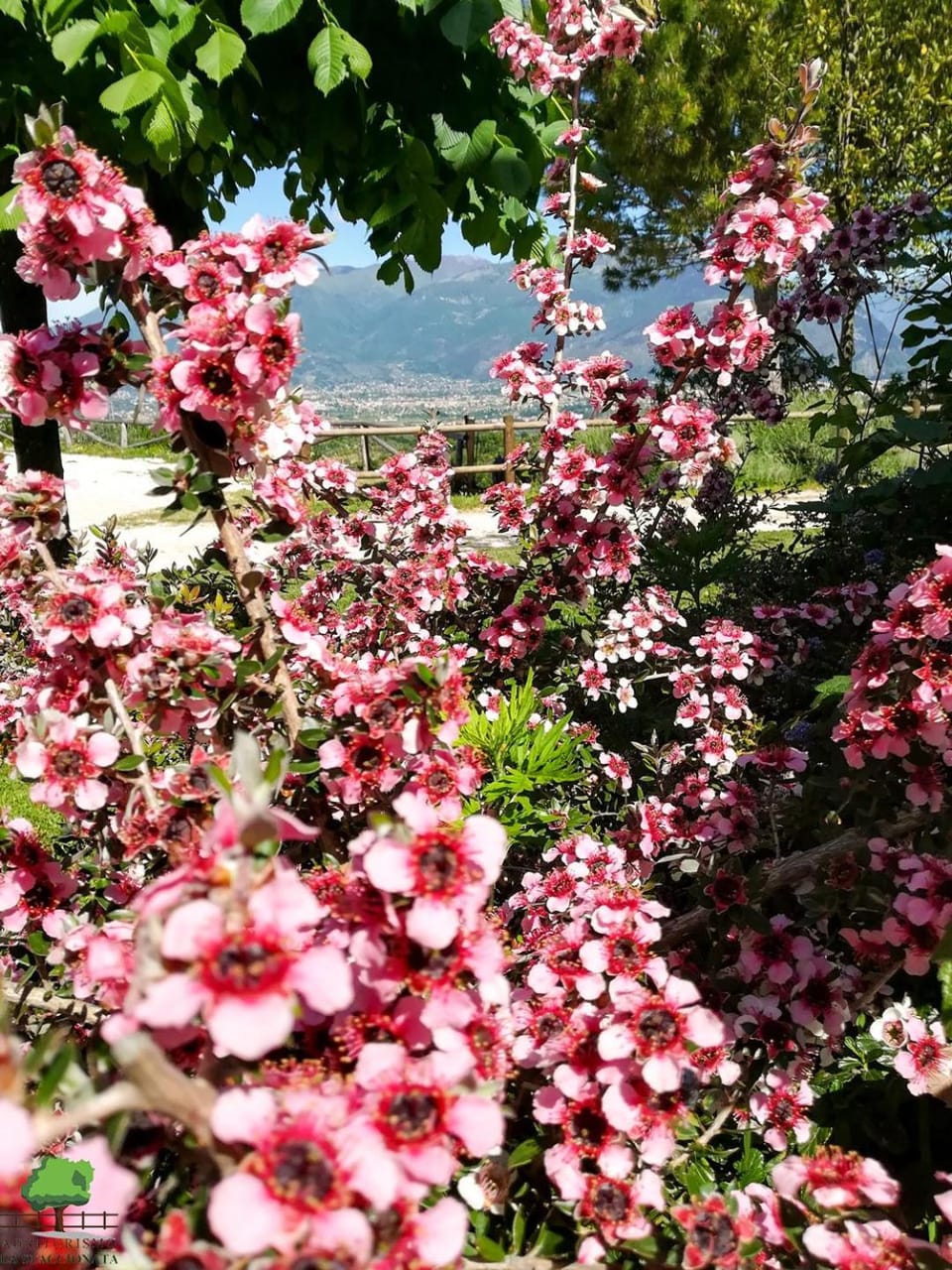 La Staccionata Farm Stay in Lazio