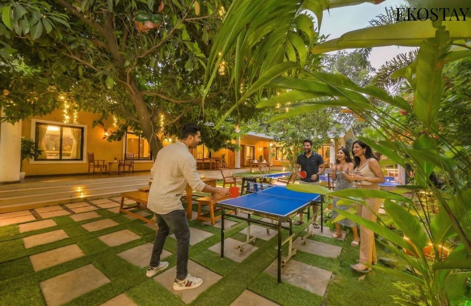 People, Table tennis, Evening entertainment, group of guests