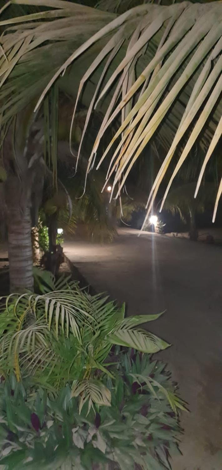 The Rink Apartment's Apartment in Senegal