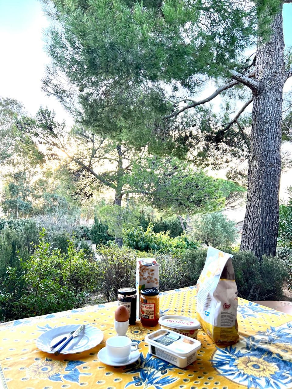 Natural landscape, Garden, Dining area, Garden view