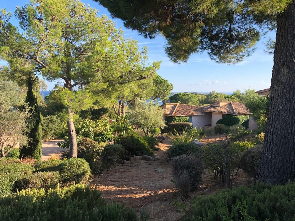 Garden view, Street view