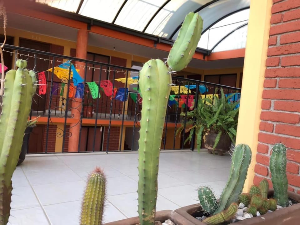 Hotel La Cascada Oaxaca Hotel in Oaxaca