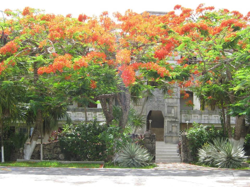 Garden view