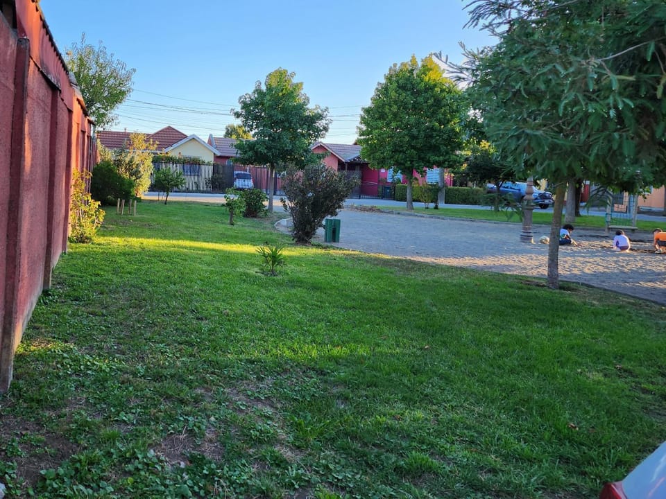 Neighbourhood, Garden, Garden view