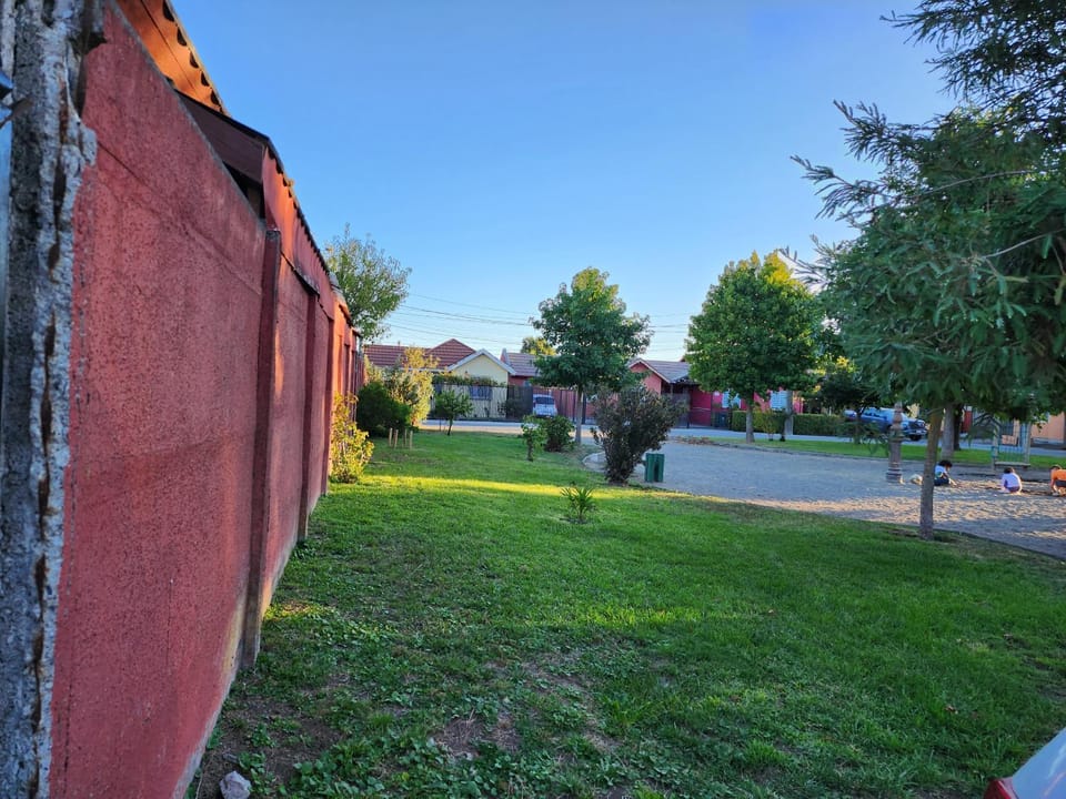 Natural landscape, Garden