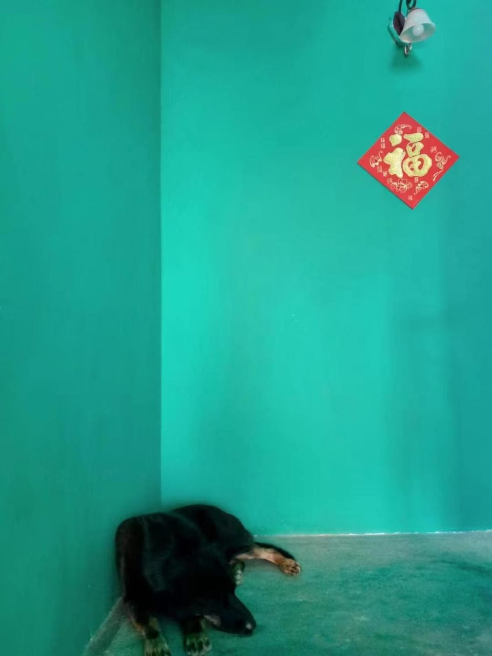 Yuanyang Flower and Horse Inn Bed and Breakfast in China
