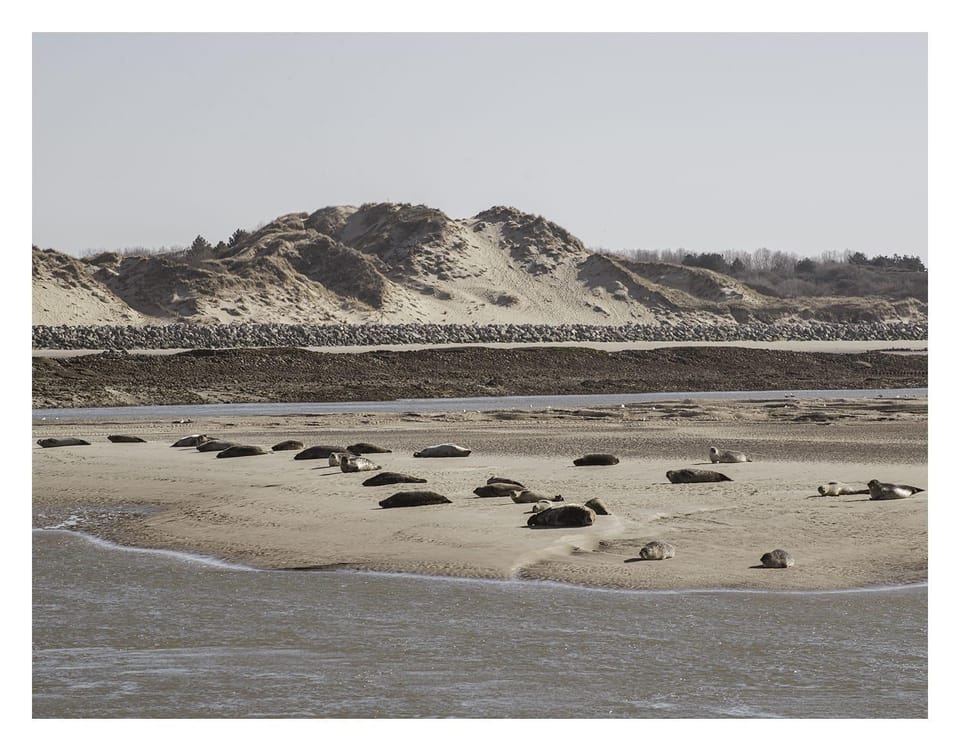 Nearby landmark, Natural landscape, Beach