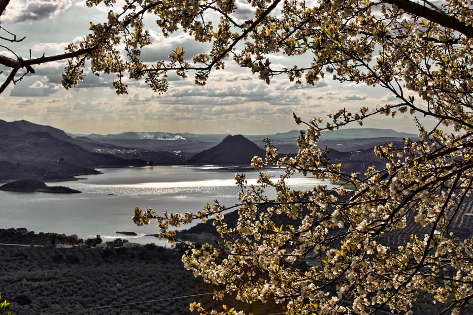 Natural landscape