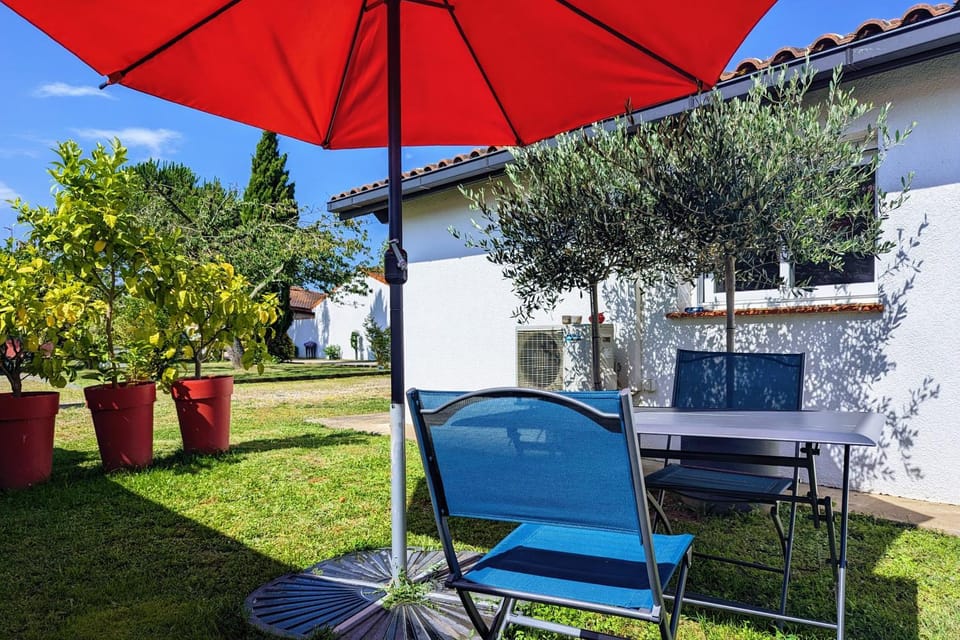 Summer, Garden, Garden, Dining area
