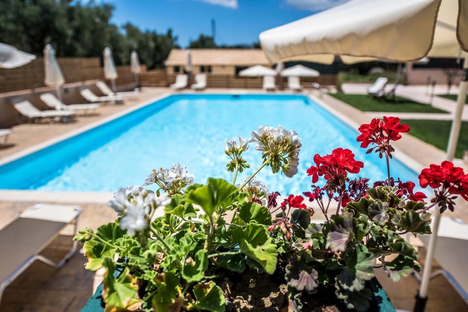 Garden, Swimming pool