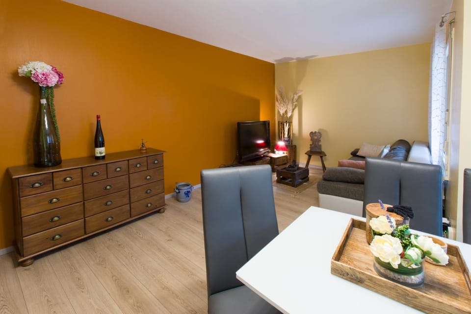 LE ST JOSSE GITE TOUT CONFORT A COLMAR Apartment in Colmar
