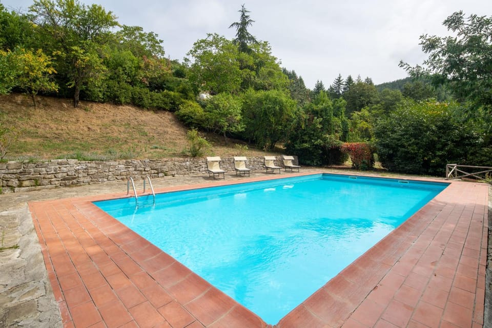 Garden, Swimming pool