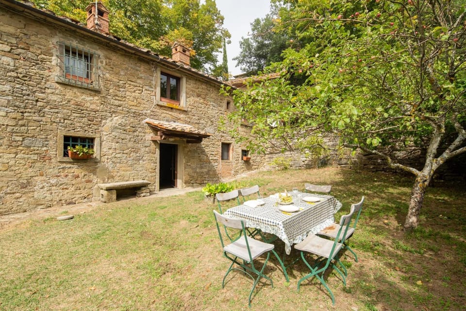 Property building, Patio, Garden, Dining area
