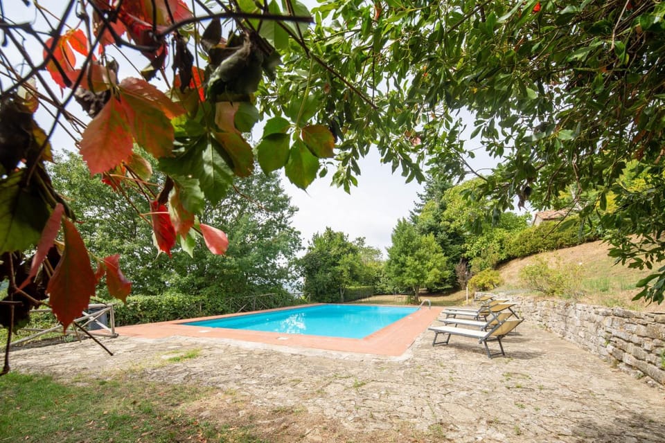 Garden, Swimming pool