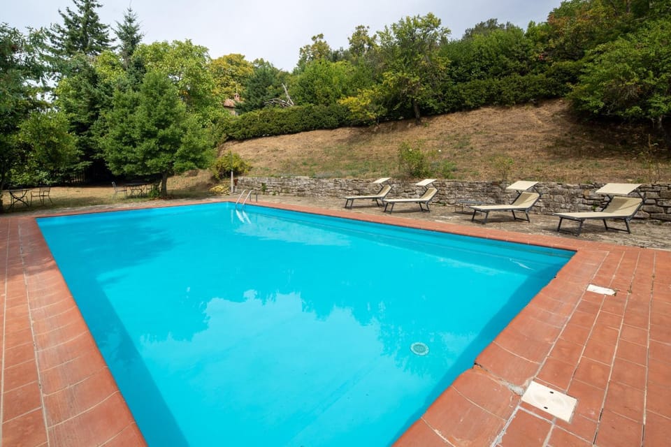 Garden, Swimming pool