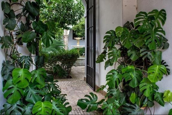 Apartamento en un dormitorio en Plaza Alfaro Apartment in Seville