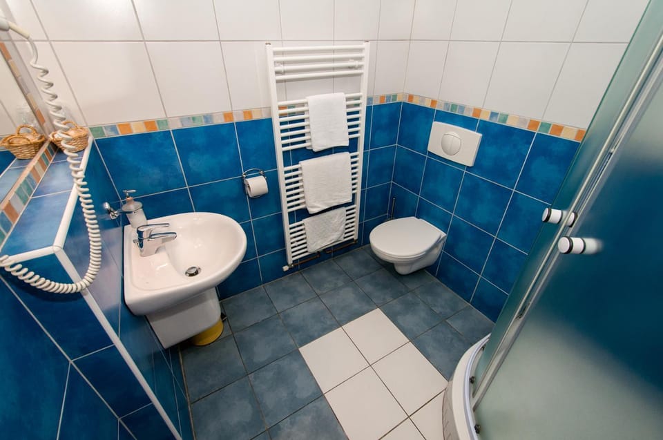 Hotel Merica Bor Hotel in Czechia