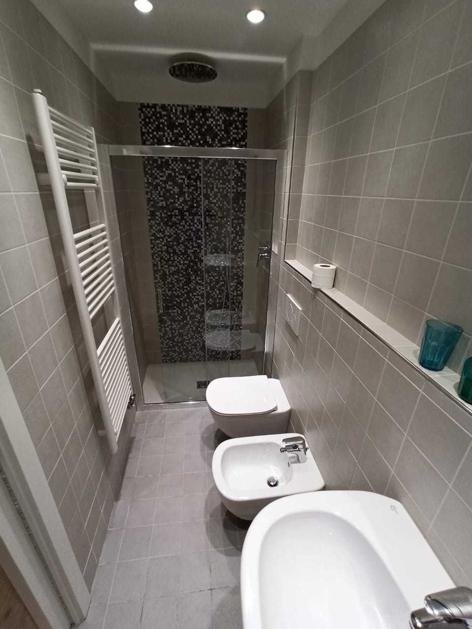 Shower, Toilet, Bathroom, bidet