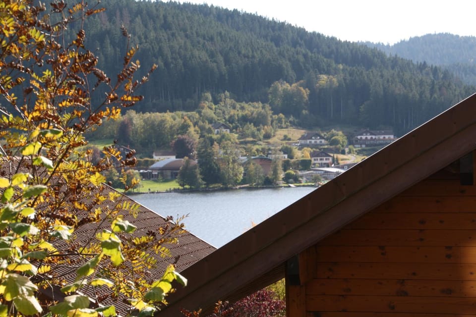 View (from property/room)