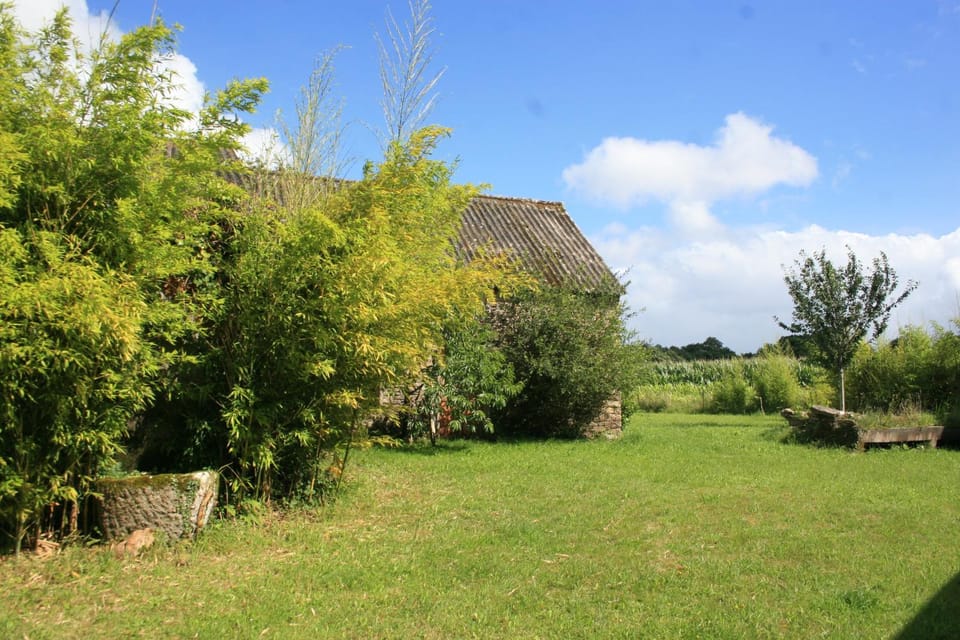 Garden, Garden