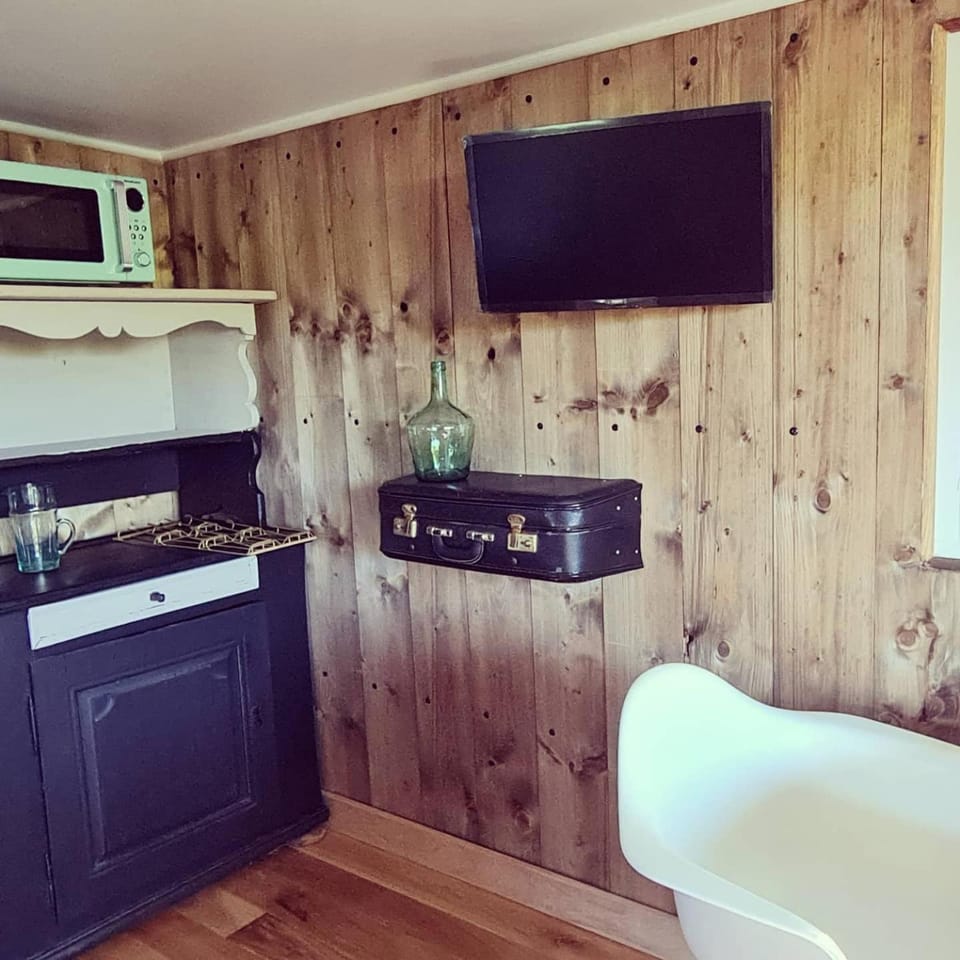 Communal lounge/ TV room, TV and multimedia