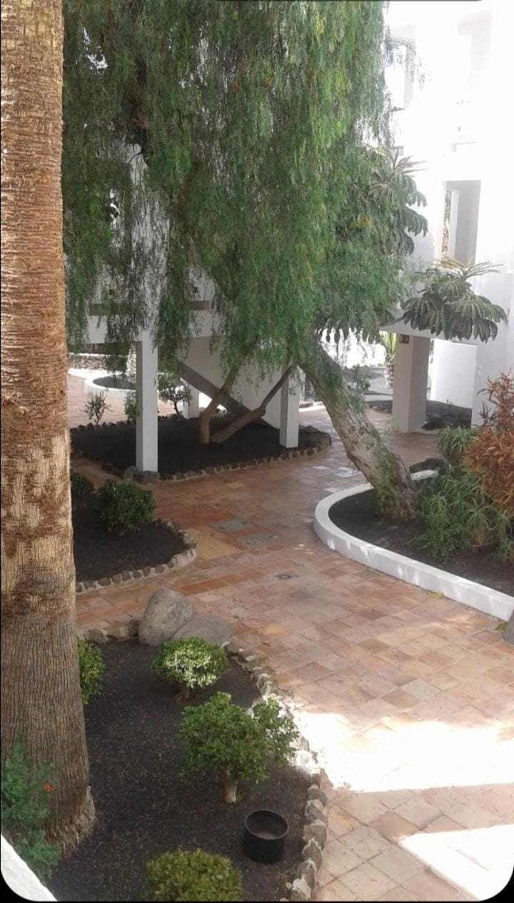 Off site, Garden, Garden view