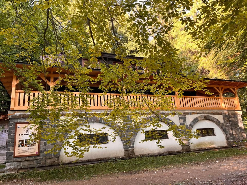 Chata Salamandra Chalet in Slovakia
