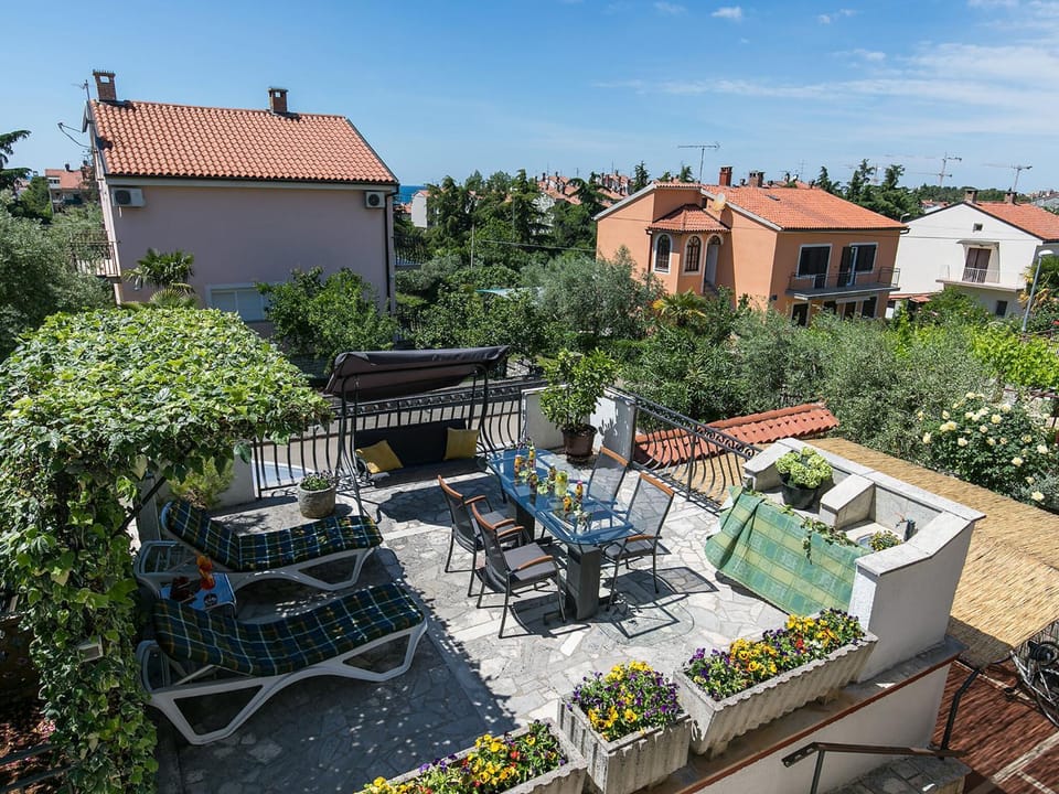 Patio, Bird's eye view