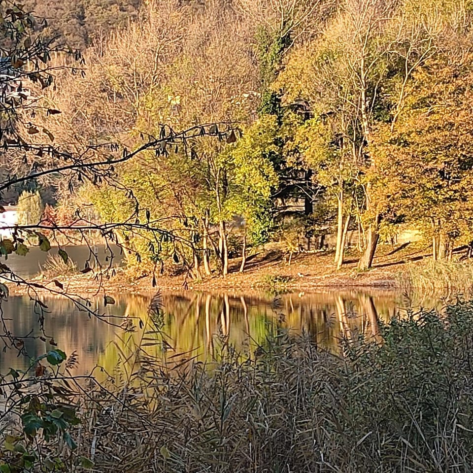 La corte dell'orologio Apartment in Province of Brescia