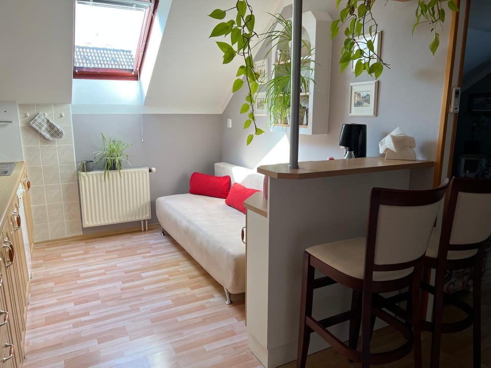 Apartmán u Míši Vacation rental in South Bohemian Region