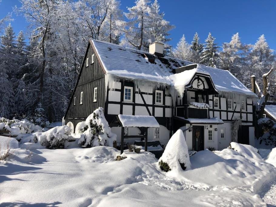 Winter