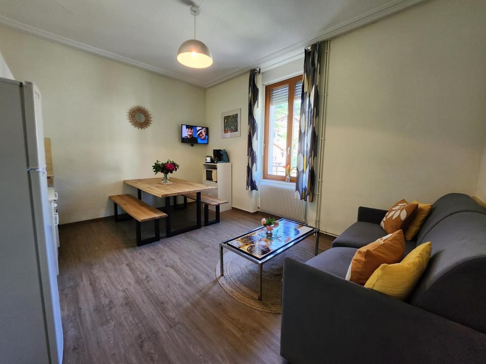 Gîte Jonquille, 2 à 8 personnes avec salle de jeux et SPA dans la résidence Apartment in Vosges