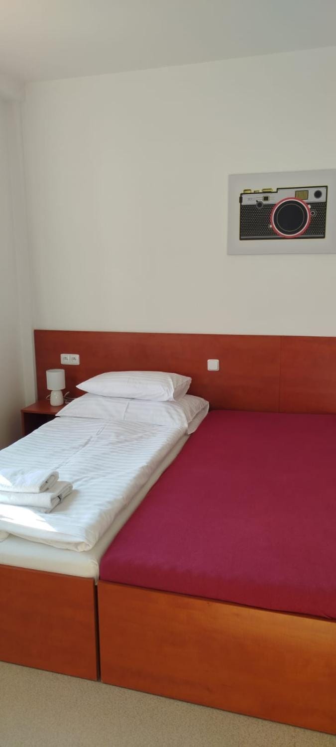 SPORT HOTEL České Budějovice Hotel in South Bohemian Region